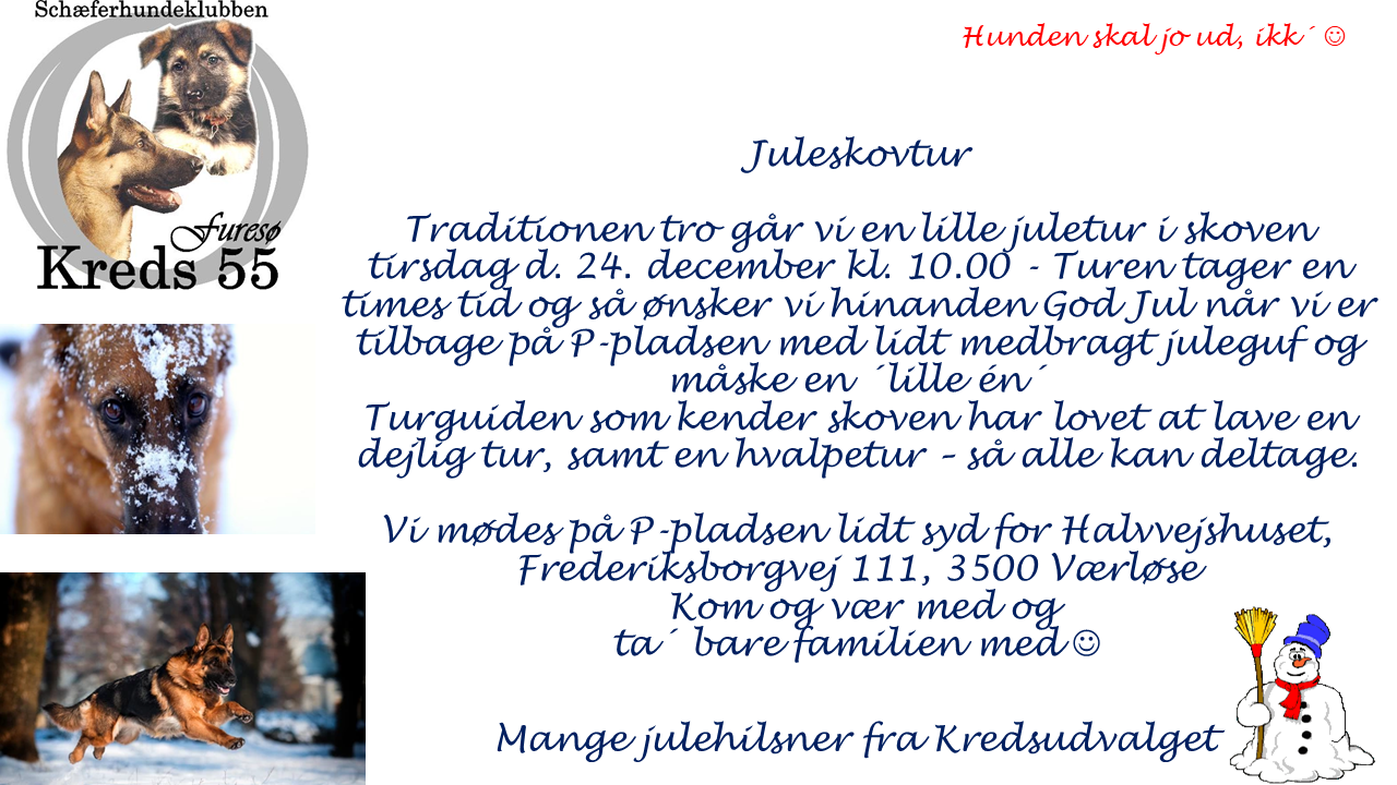 Juletur